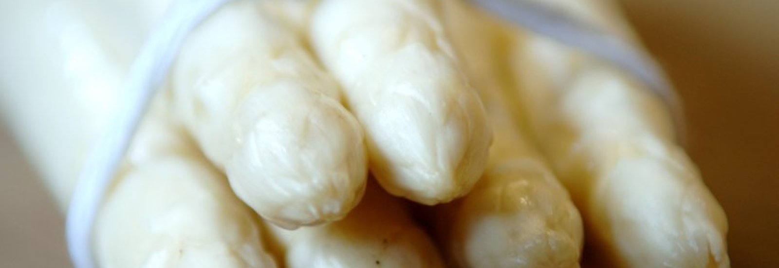 Asperges (foto: Stefan Jacobs)