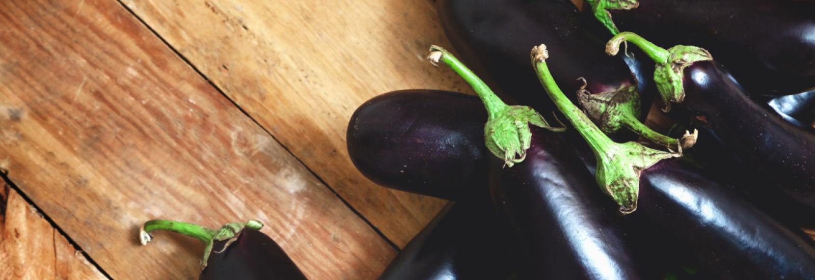 Aubergine