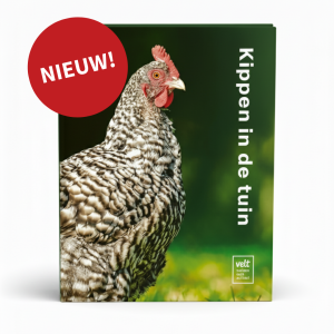 Kippen in de tuin