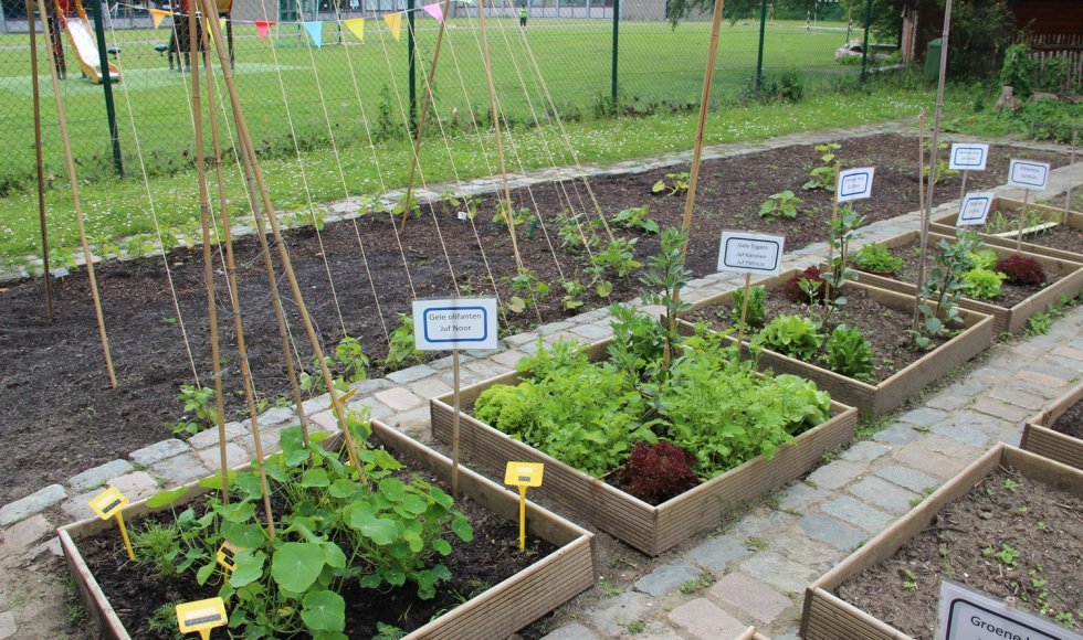 Schoolmoestuin