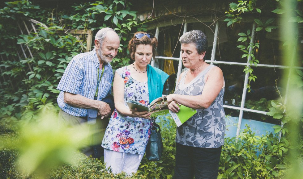 Veelgestelde vragen