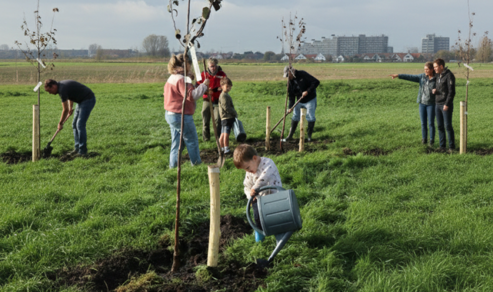 planten