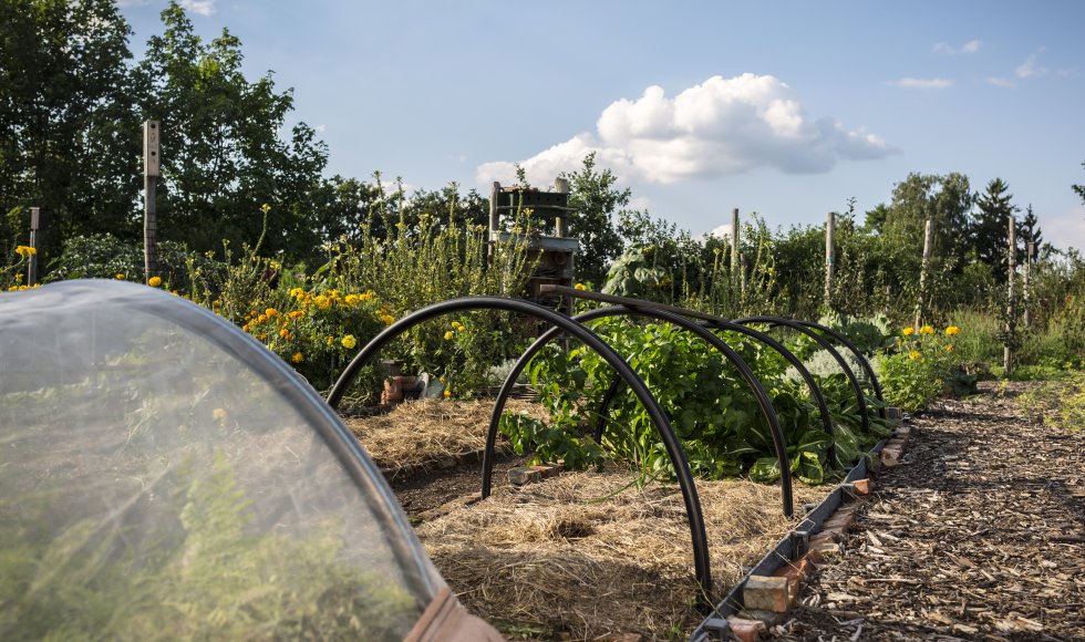 Mulchlaag onder de tunnelboog en houtsnippers op het moestuinpad