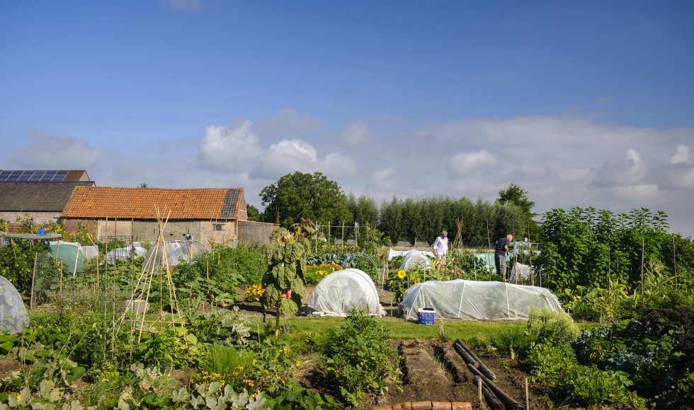 Tannekes tuin