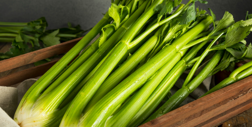 groene selderij