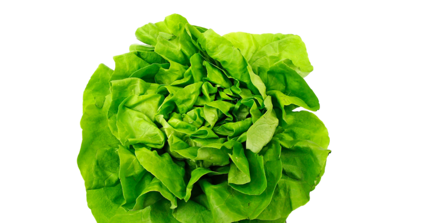 kropsla