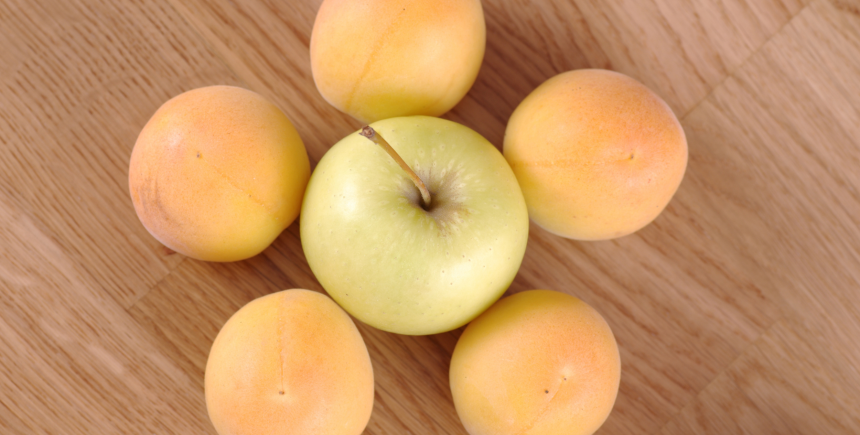 abrikozen appel