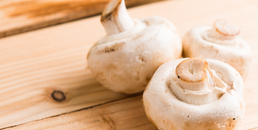champignons