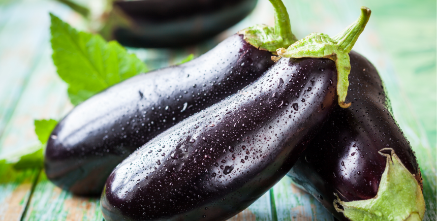 aubergine