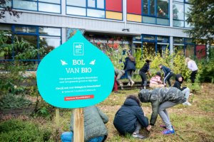 biobloembord