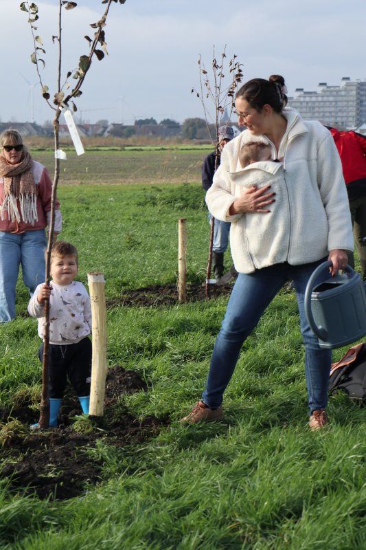 planten