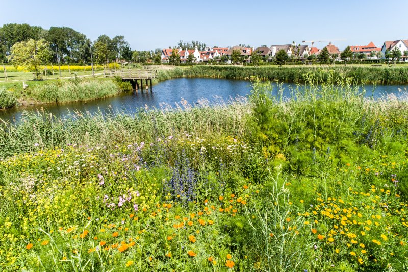 Knokke-Heist