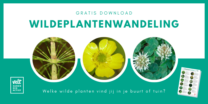 Wildeplantenwandeling van Velt