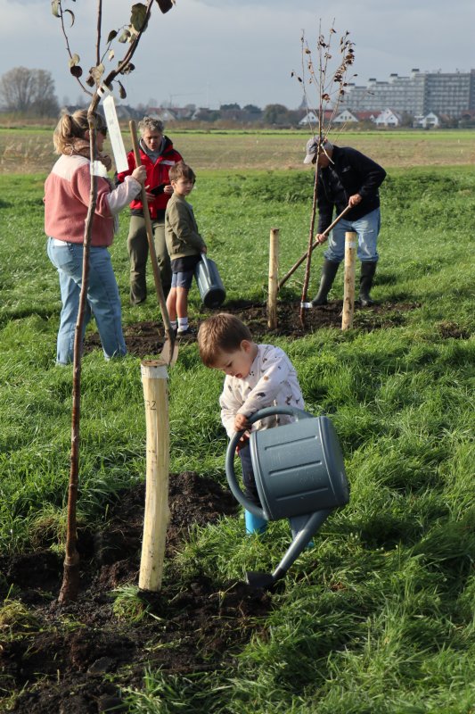planten