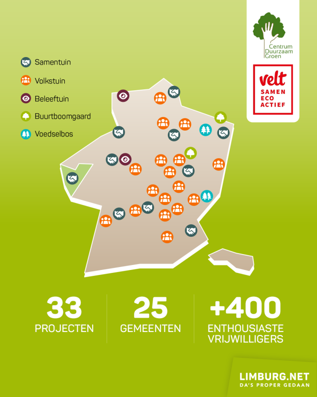 limburg.net
