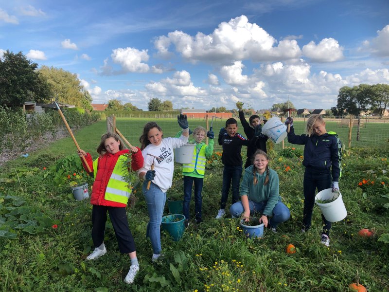 De warme tuin in Meulebeke