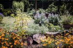 Le Jardin indépendant 