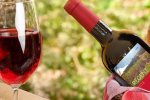 Biologische wijngaard El Placer