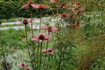 Natuurtuinen Deburggraeve