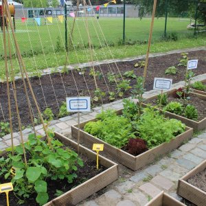 Schoolmoestuin