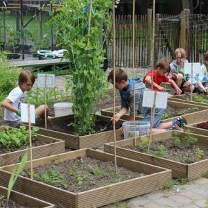 schoolmoestuin