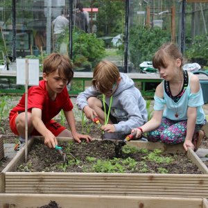 schoolmoestuin
