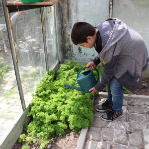 Schoolmoestuin