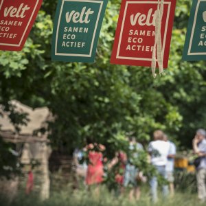 Velt