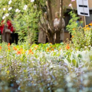https://www.heusden-zolder.be/opening-beleeftuin