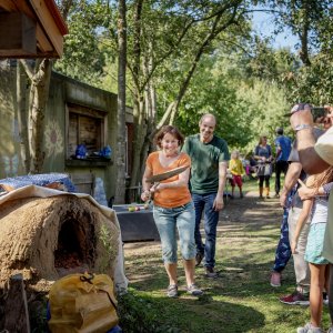 Velt-groep