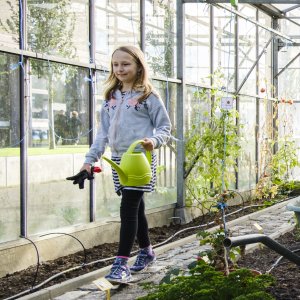 Schoolmoestuin