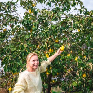 fruitboom