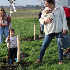planten