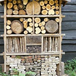 Insectenhotel