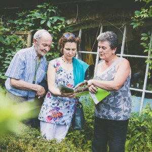Veelgestelde vragen