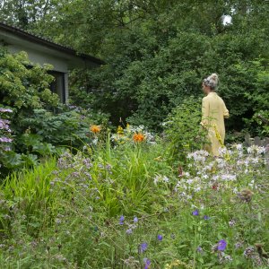 Ecologische tuin: van aanleg tot beheer
