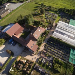 Ecoflora