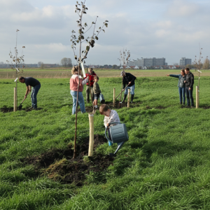 planten