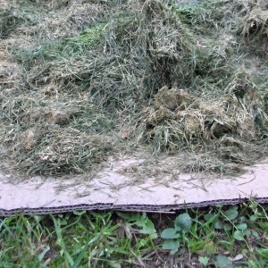 Gras op karton