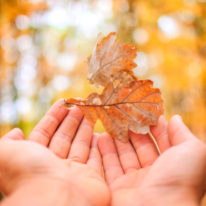 Herfst