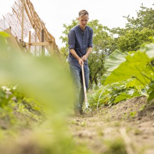Onkruid wegschoffelen op moestuinpad