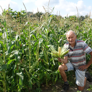 Veredelaar Jan
