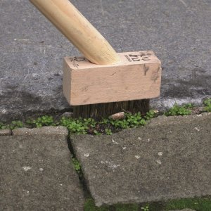 Voegenborstel onkruid